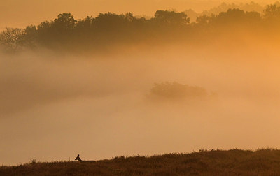 BUITEN BEELD Foto: 183774