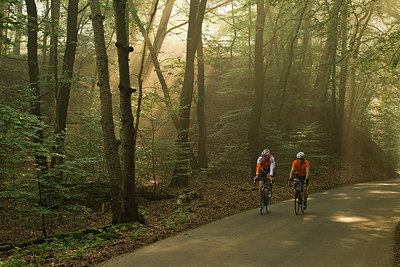 BUITEN BEELD Foto: 183781