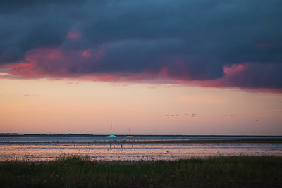 BUITEN BEELD Foto: 183786