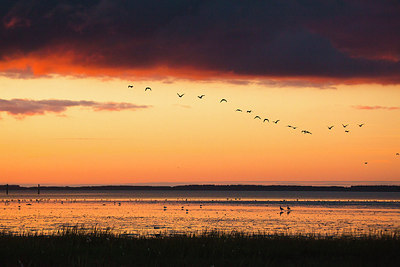 BUITEN BEELD Foto: 183788