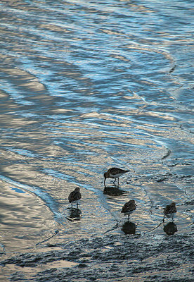 BUITEN BEELD Foto: 183796