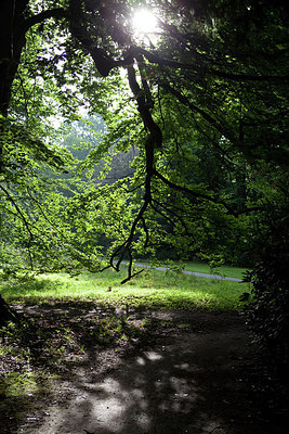 BUITEN BEELD Foto: 183805
