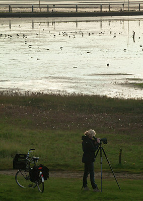 BUITEN BEELD Foto: 183812