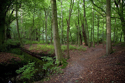 BUITEN BEELD Foto: 183817