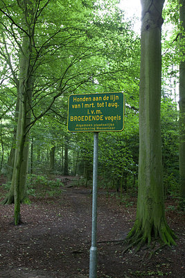 BUITEN BEELD Foto: 183825