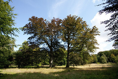 BUITEN BEELD Foto: 183838