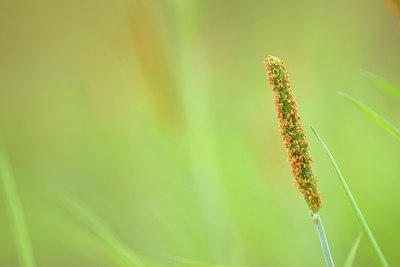 BUITEN BEELD Foto: 183844