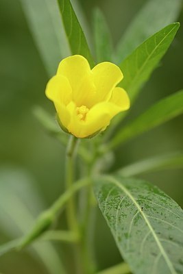 BUITEN BEELD Foto: 183853