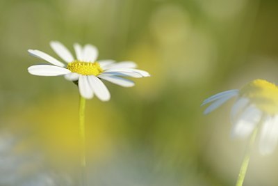 BUITEN BEELD Foto: 183858