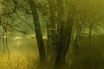 BUITEN BEELD Foto: 183889