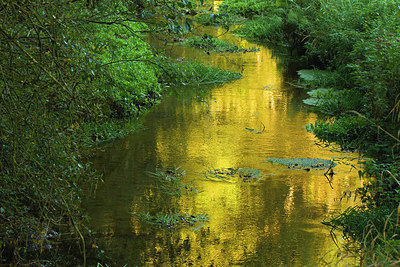 BUITEN BEELD Foto: 183893