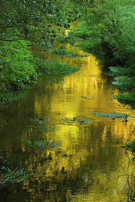 BUITEN BEELD Foto: 183894