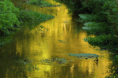 BUITEN BEELD Foto: 183897