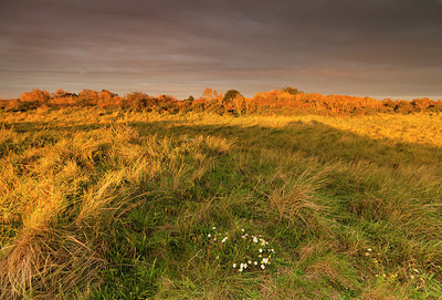 BUITEN BEELD Foto: 183924