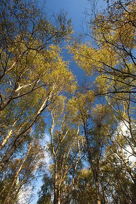 BUITEN BEELD Foto: 183929