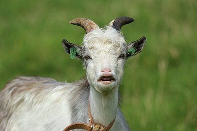 BUITEN BEELD Foto: 183978