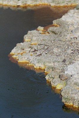 BUITEN BEELD Foto: 184007