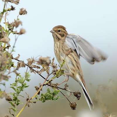 BUITEN BEELD Foto: 184050