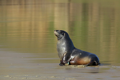 BUITEN BEELD Foto: 184177