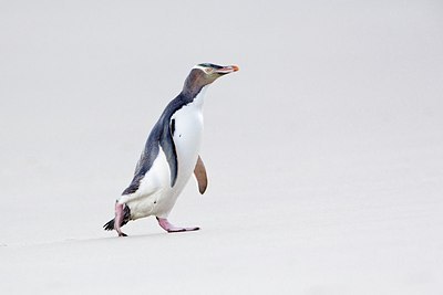 BUITEN BEELD Foto: 184182