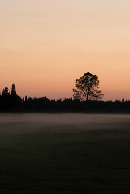 BUITEN BEELD Foto: 184257