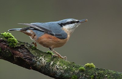 BUITEN BEELD Foto: 184295