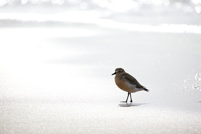 BUITEN BEELD Foto: 184348