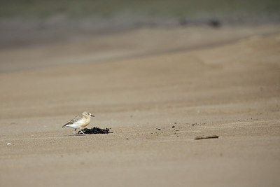 BUITEN BEELD Foto: 184355