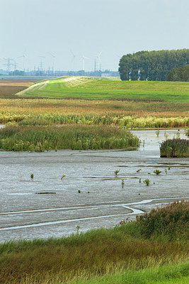 BUITEN BEELD Foto: 184390