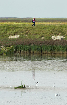BUITEN BEELD Foto: 184394