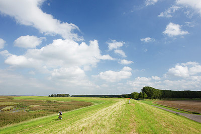 BUITEN BEELD Foto: 184405