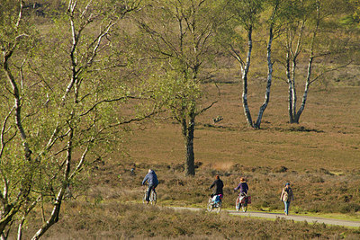 BUITEN BEELD Foto: 184406