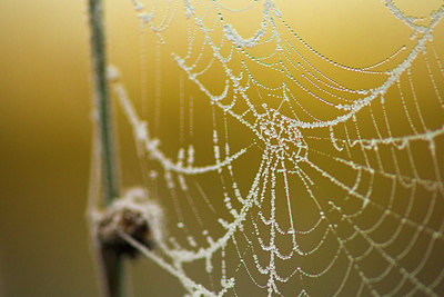 BUITEN BEELD Foto: 184412