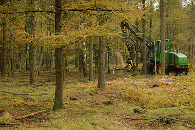 BUITEN BEELD Foto: 184415