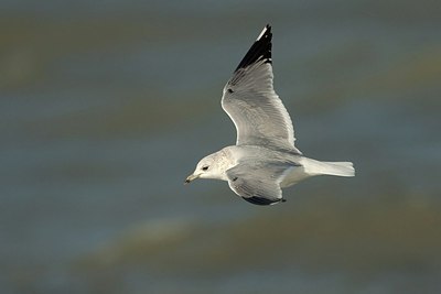 BUITEN BEELD Foto: 184437