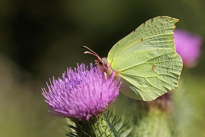 BUITEN BEELD Foto: 184457