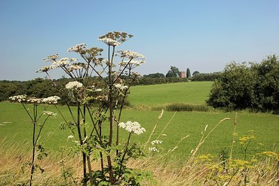 BUITEN BEELD Foto: 184473