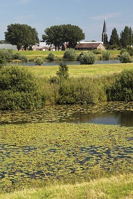 BUITEN BEELD Foto: 184477