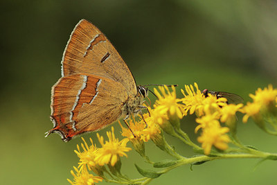 BUITEN BEELD Foto: 184480