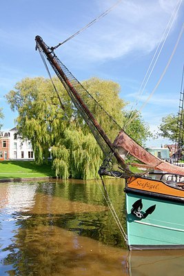 BUITEN BEELD Foto: 184516