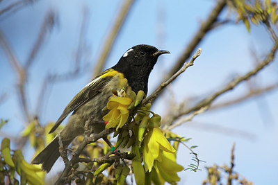 BUITEN BEELD Foto: 184537
