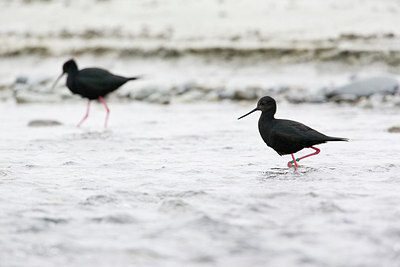 BUITEN BEELD Foto: 184586