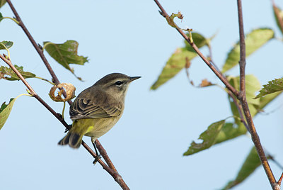 BUITEN BEELD Foto: 184609