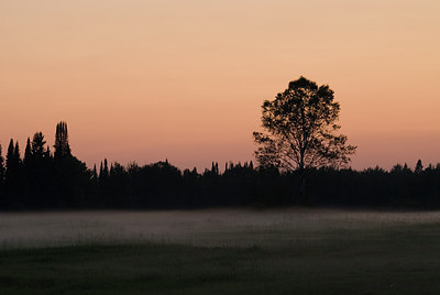 BUITEN BEELD Foto: 184620