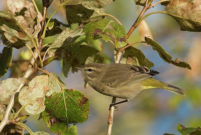 BUITEN BEELD Foto: 184624