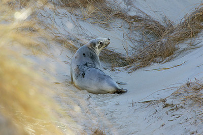 BUITEN BEELD Foto: 184648