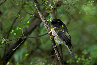 BUITEN BEELD Foto: 184652
