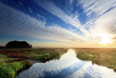 BUITEN BEELD Foto: 184742