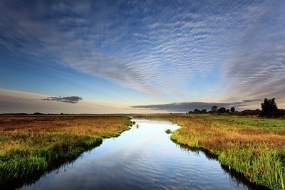 BUITEN BEELD Foto: 184744