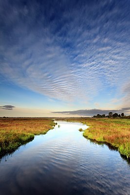 BUITEN BEELD Foto: 184746